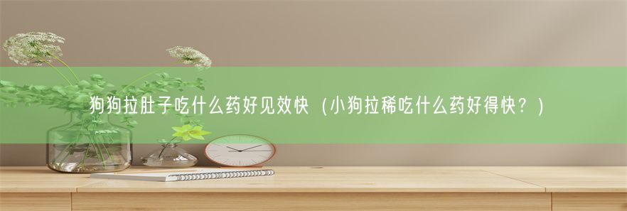 狗狗拉肚子吃什么药好见效快（小狗拉稀吃什么药好得快？）