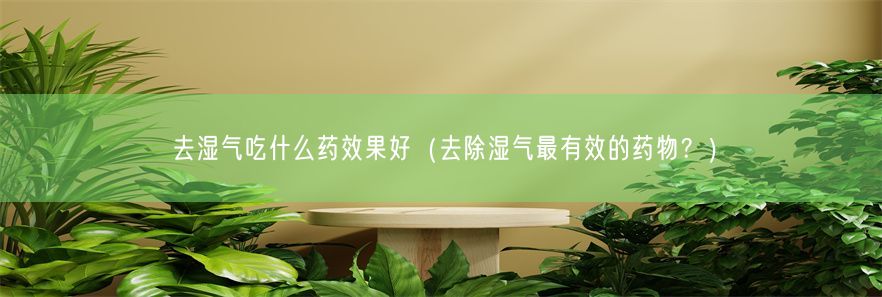 去湿气吃什么药效果好（去除湿气最有效的药物？）