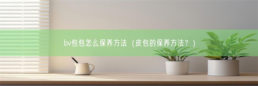 bv包包怎么保养方法（皮包的保养方法？）