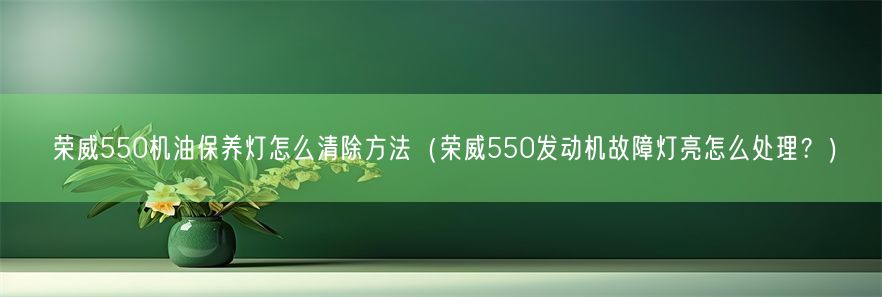 荣威550机油保养灯怎么清除方法（荣威550发动机故障灯亮怎