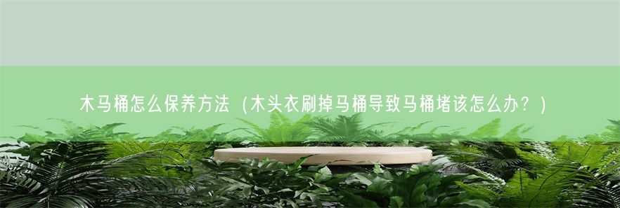 木马桶怎么保养方法（木头衣刷掉马桶导致马桶堵该怎么办？）