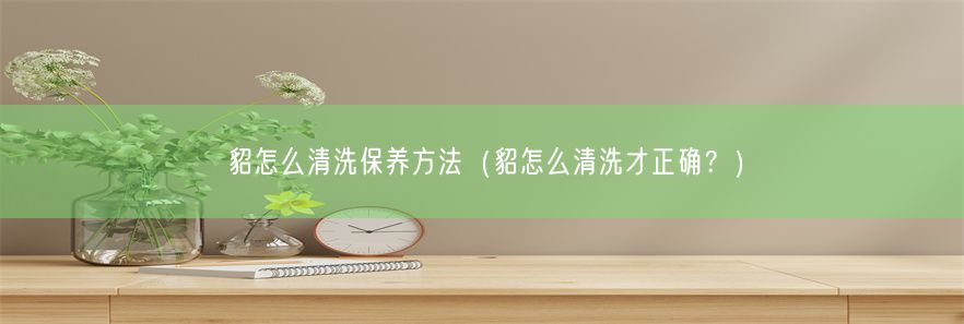 貂怎么清洗保养方法（貂怎么清洗才正确？）