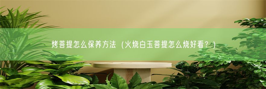 烤菩提怎么保养方法（火烧白玉菩提怎么烧好看？）