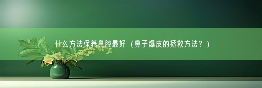 什么方法保养鼻腔最好（鼻子爆皮的拯救方法？）