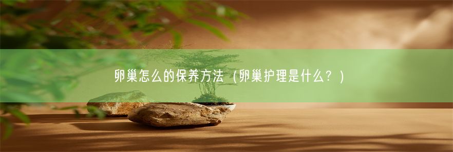 卵巢怎么的保养方法（卵巢护理是什么？）