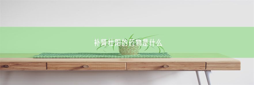 补肾壮阳的药物是什么