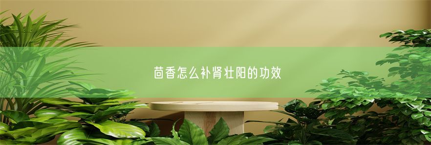 茴香怎么补肾壮阳的功效