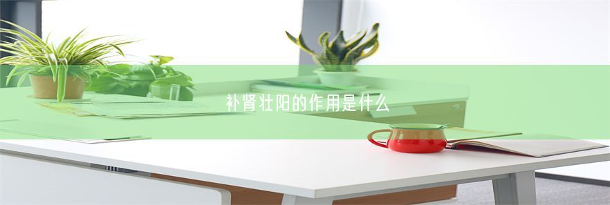 补肾壮阳的作用是什么