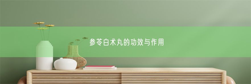 参苓白术丸的功效与作用