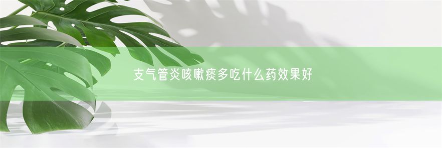 支气管炎咳嗽痰多吃什么药效果好