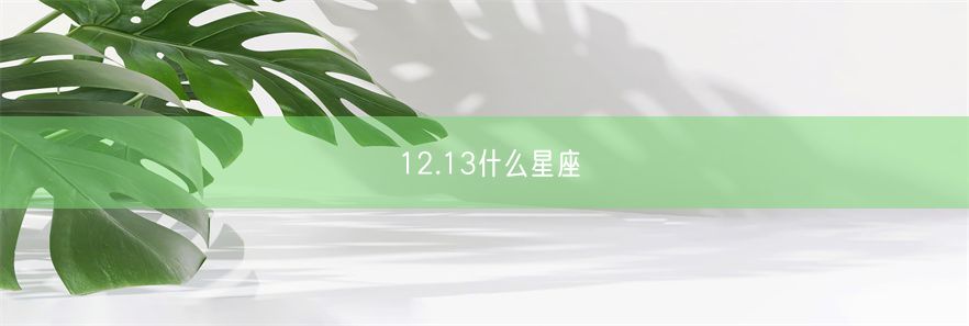 12.13什么星座