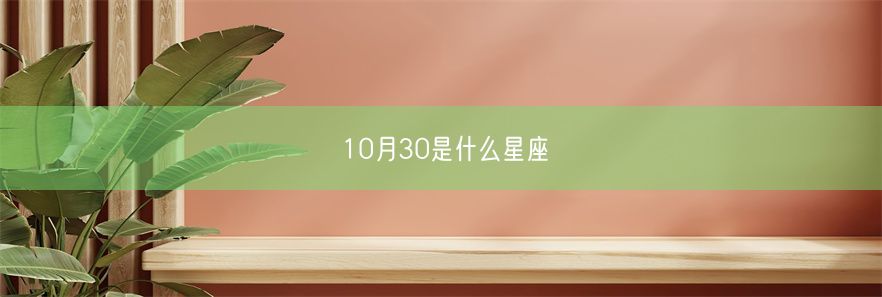 10月30是什么星座