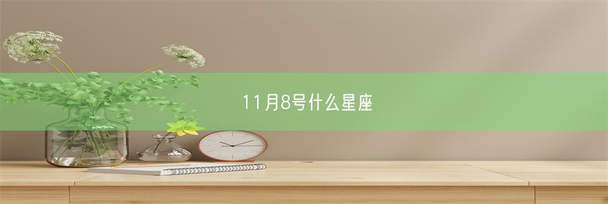 11月8号什么星座