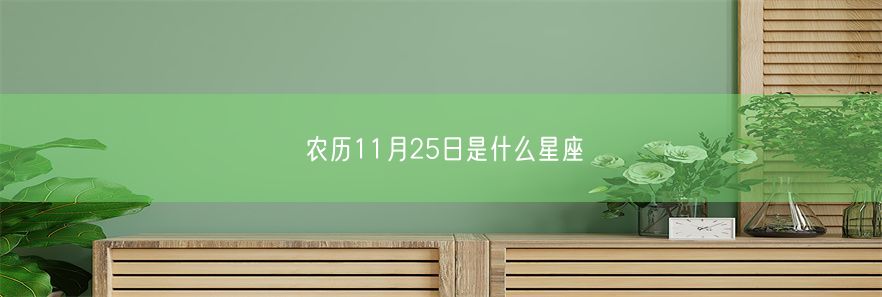 农历11月25日是什么星座