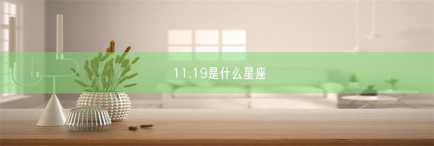 11.19是什么星座