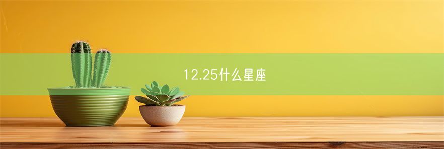 12.25什么星座