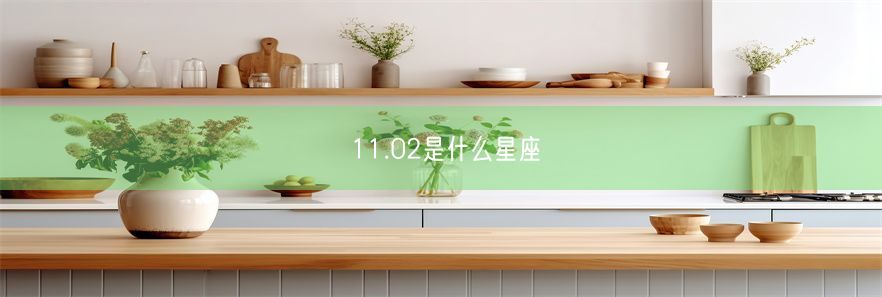 11.02是什么星座