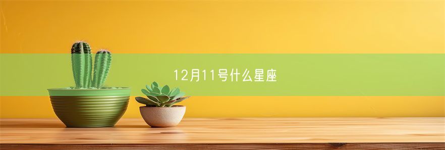 12月11号什么星座