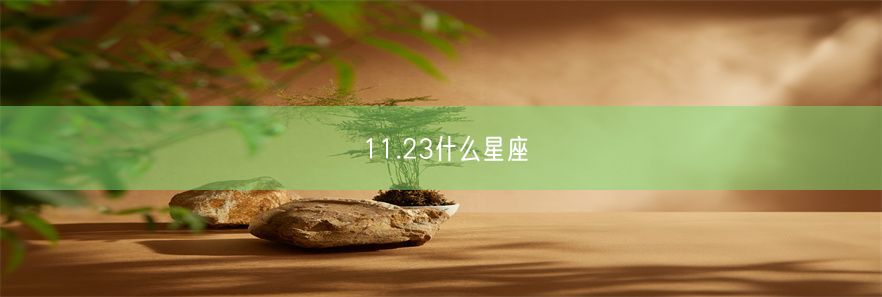 11.23什么星座