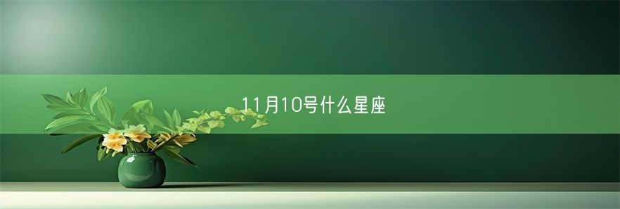 11月10号什么星座