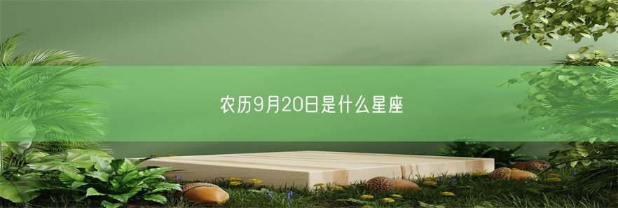 农历9月20日是什么星座