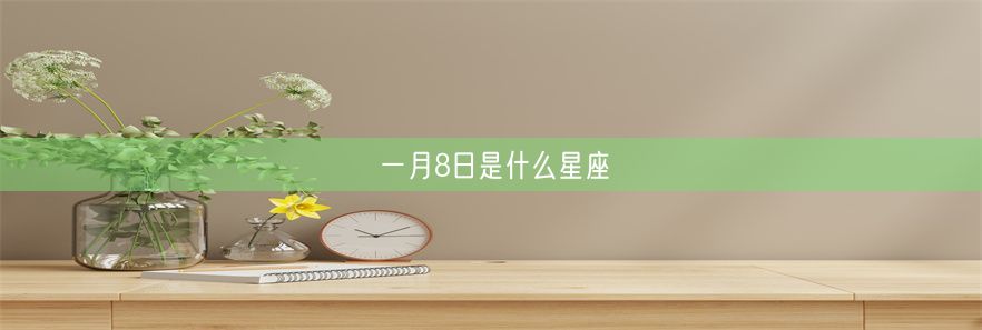 一月8日是什么星座