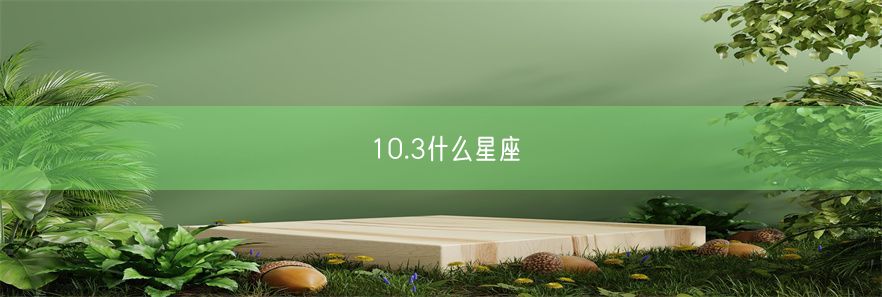 10.3什么星座