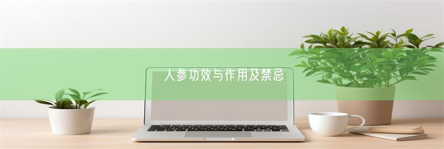 人参功效与作用及禁忌