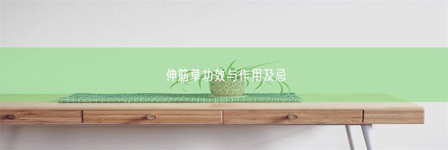 伸筋草功效与作用及忌