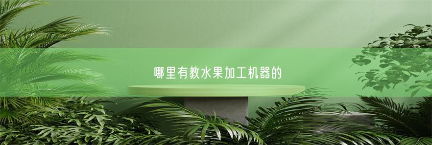 哪里有教水果加工机器的