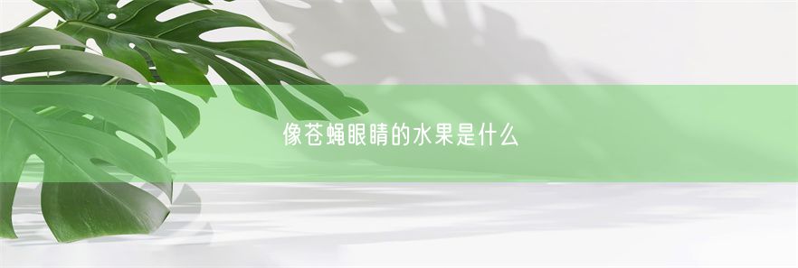 像苍蝇眼睛的水果是什么