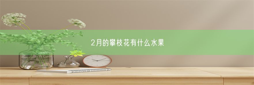 2月的攀枝花有什么水果