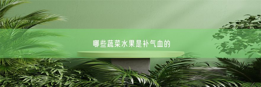 哪些蔬菜水果是补气血的