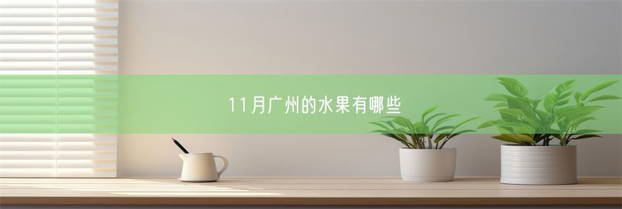 11月广州的水果有哪些