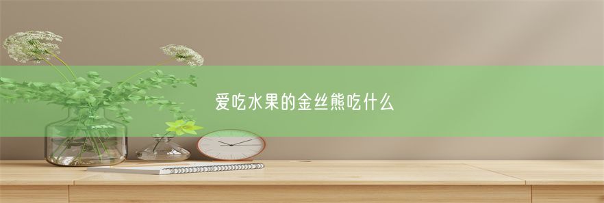 爱吃水果的金丝熊吃什么