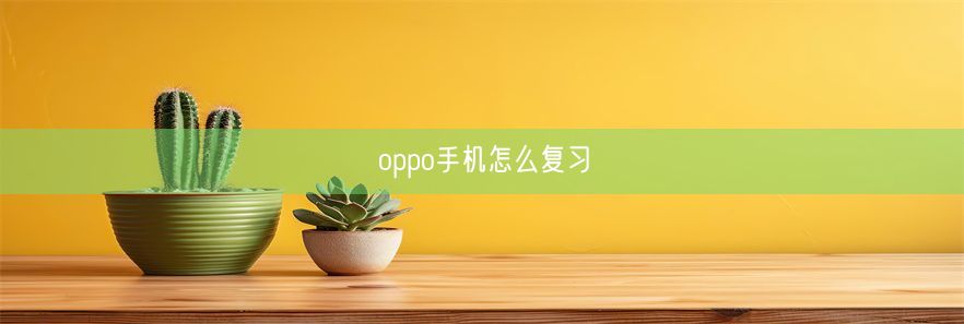 oppo手机怎么复习