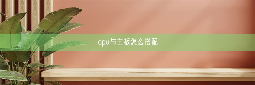 cpu与主板怎么搭配