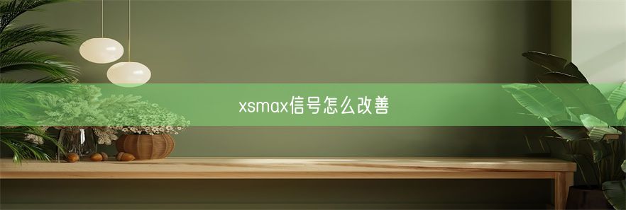 xsmax信号怎么改善