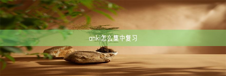 anki怎么集中复习