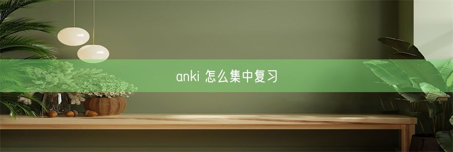 anki 怎么集中复习