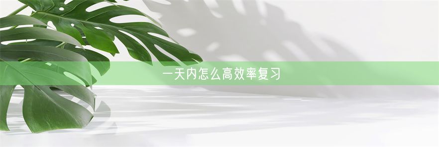 一天内怎么高效率复习