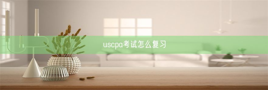 uscpa考试怎么复习