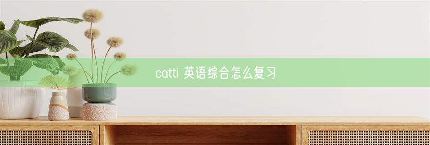 catti 英语综合怎么复习