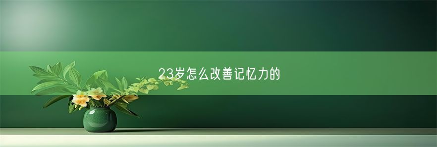 23岁怎么改善记忆力的