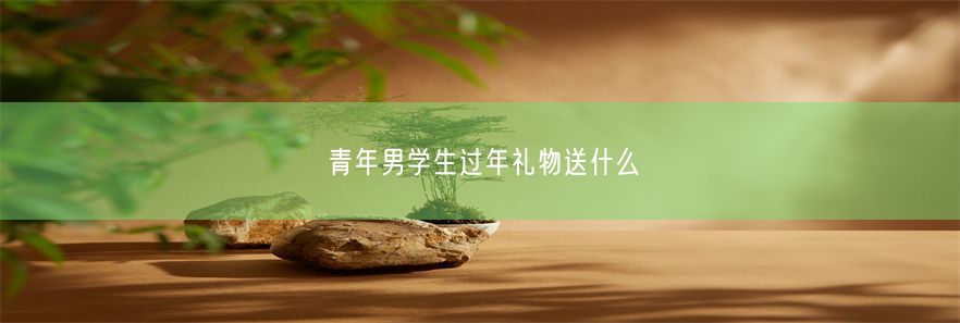 青年男学生过年礼物送什么