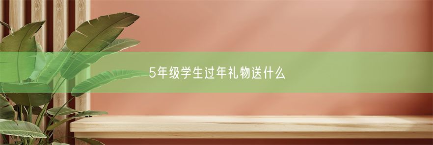 5年级学生过年礼物送什么