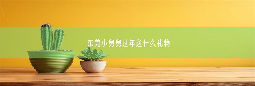 东莞小舅舅过年送什么礼物