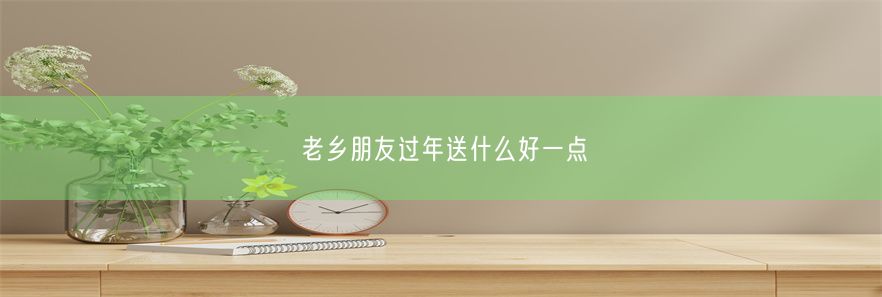 老乡朋友过年送什么好一点