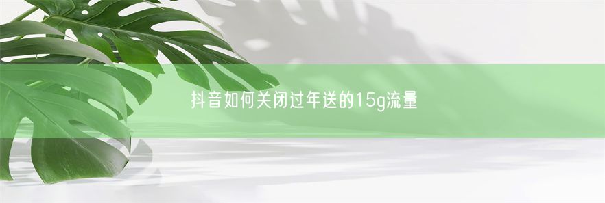 抖音如何关闭过年送的15g流量