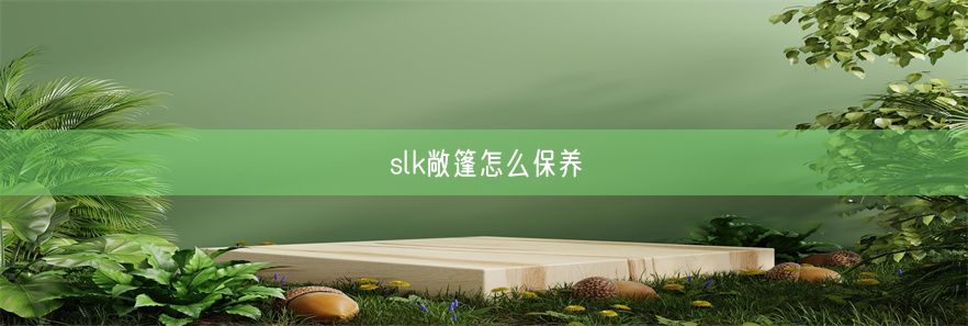 slk敞篷怎么保养